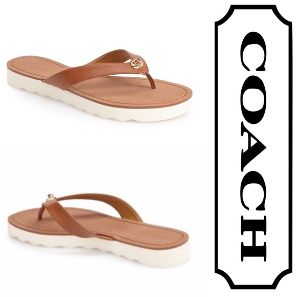 coach shelly flip flops